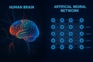 Comparison of human brain neurons and artificial neural networks in deep learning